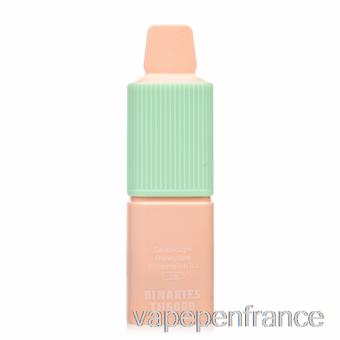 Horizon Binaires Th6000 Stylo Jetable De Vape De Glace De Melon D'eau De Miellat De Cantaloup